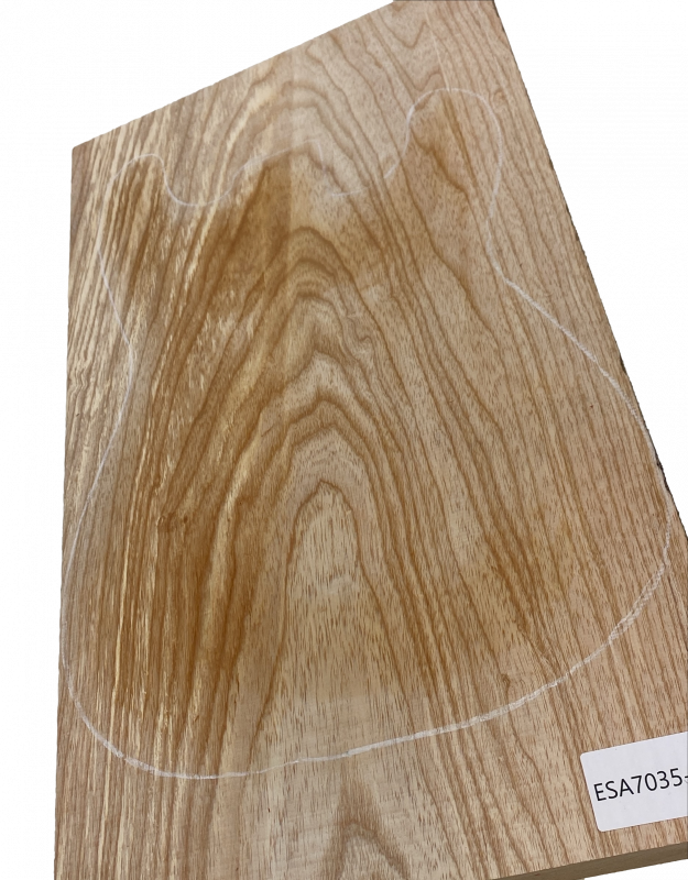 Body Swamp Ash, 1-pc., Unique Piece #197